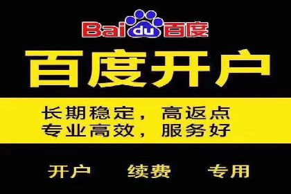 行业领先企业如何运用SEM运营推广